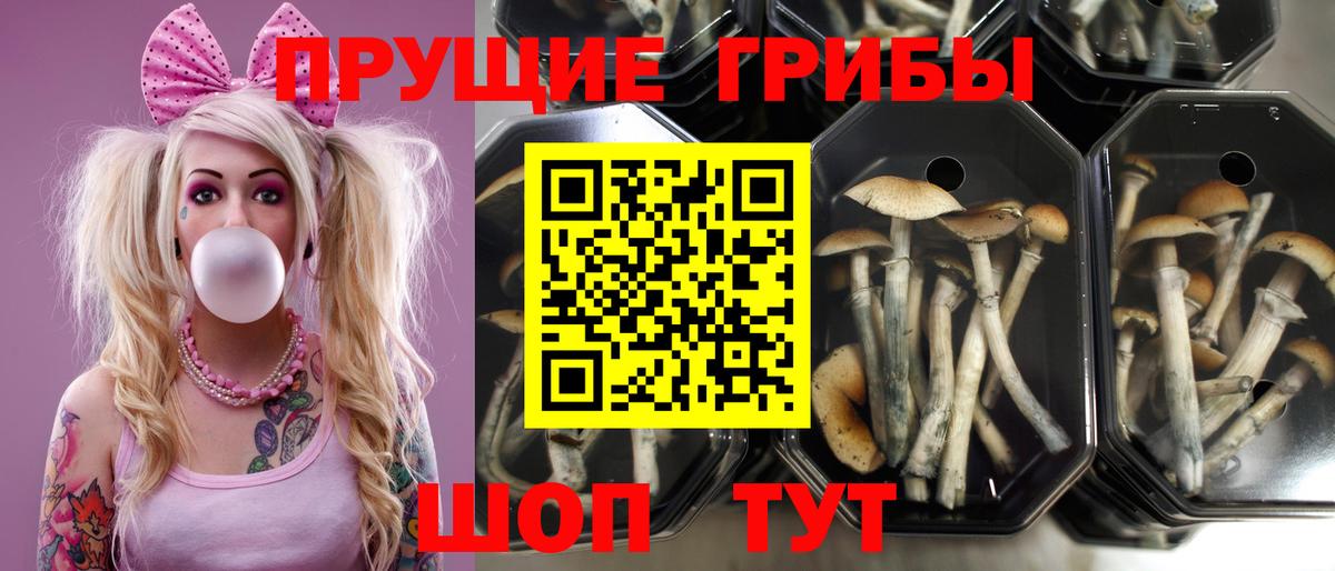 цена наркотик  Вход с VPN  Верхняя Салда  Галлюциногенные грибы мухоморы 